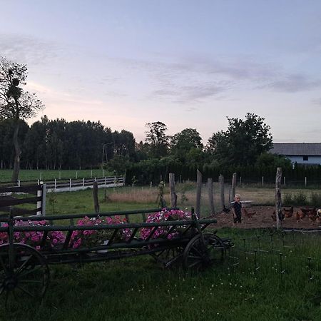 Agroturystyka Malary Pogodki Kültér fotó