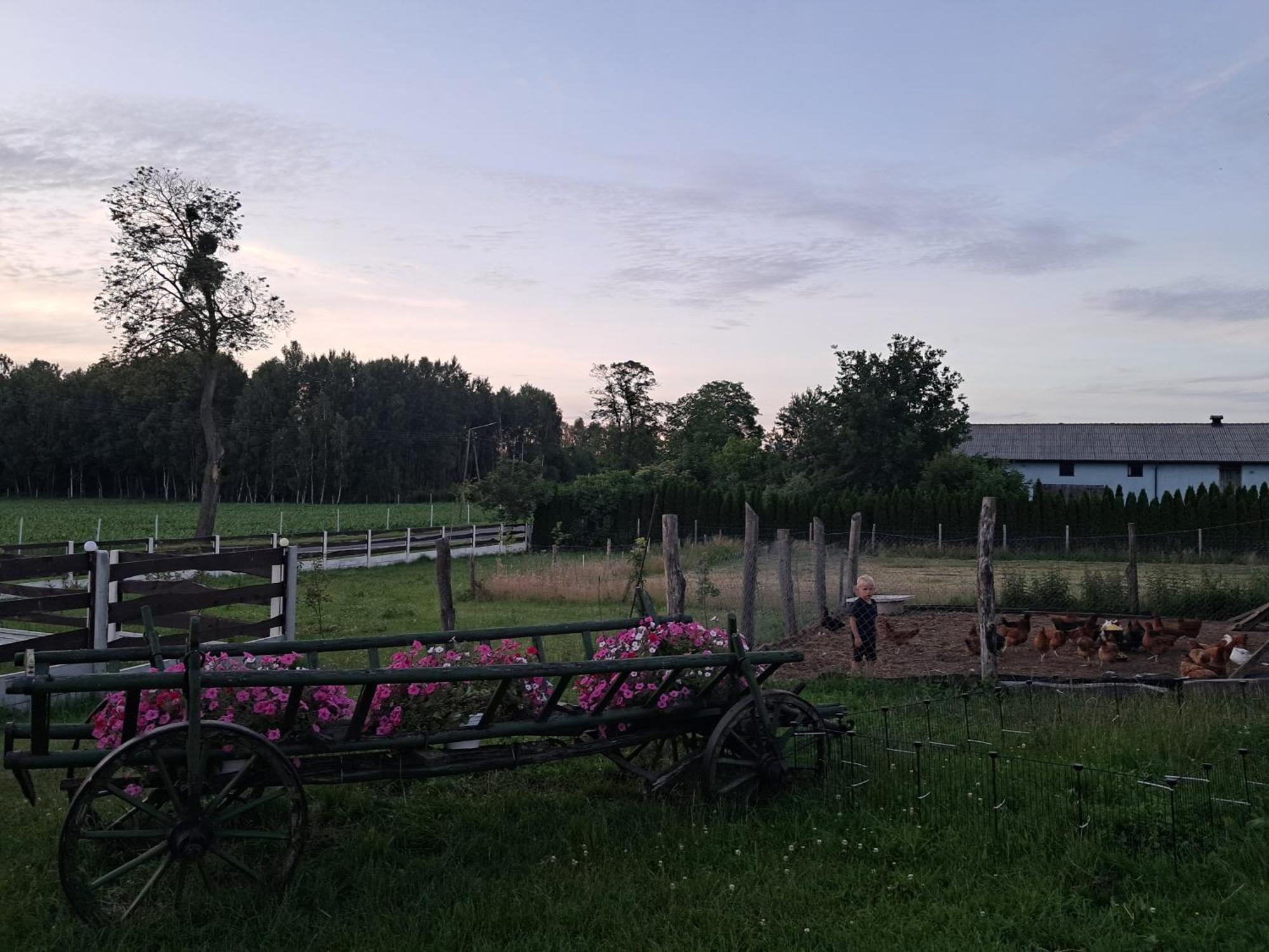 Agroturystyka Malary Pogodki Kültér fotó